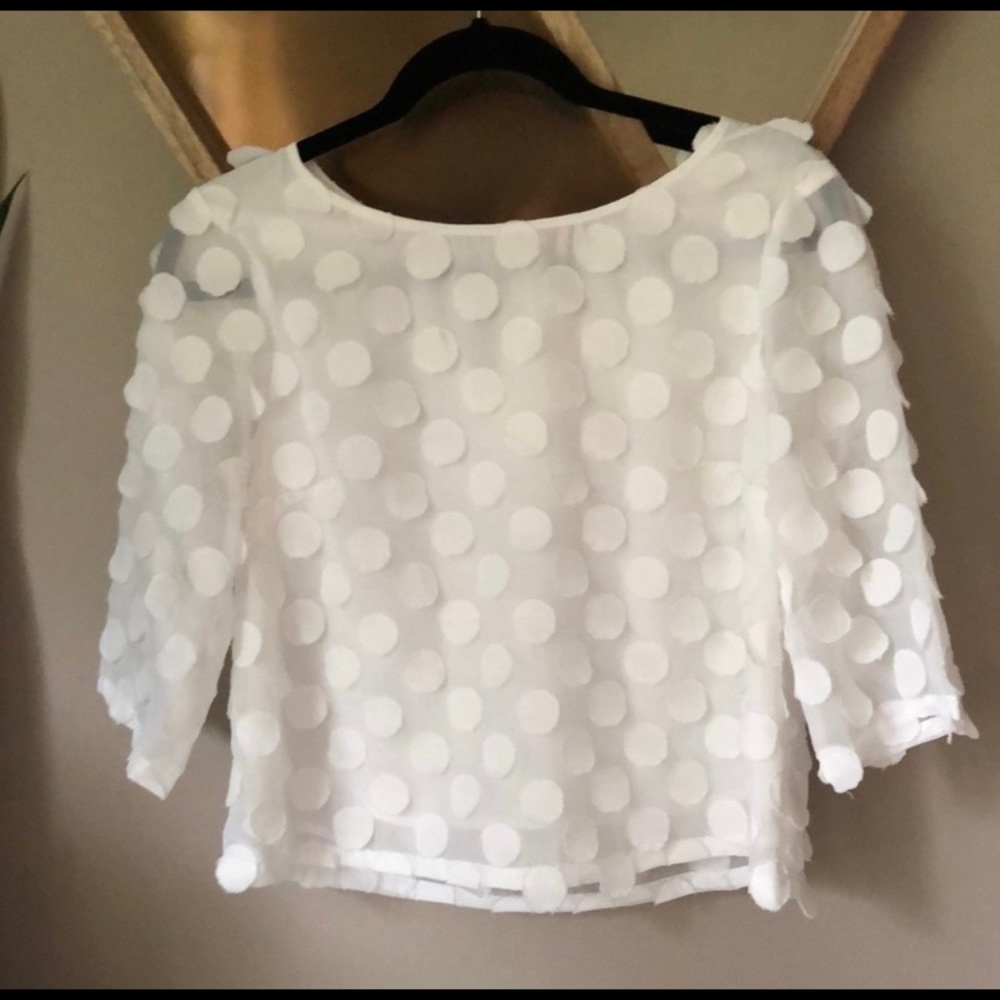 Anthropologie Sz4 chiffon white dot tie back blouse